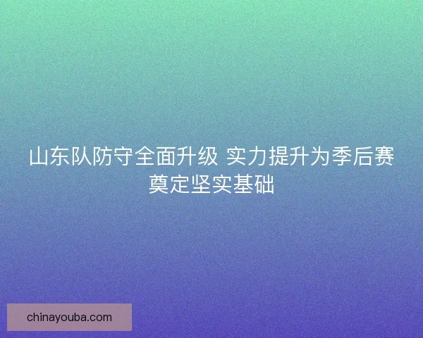 山东队防守全面升级 实力提升为季后赛奠定坚实基础